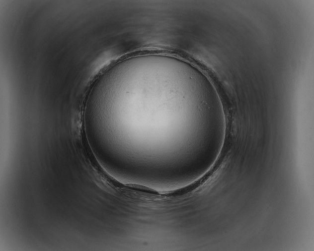 X0000088491355200705221418