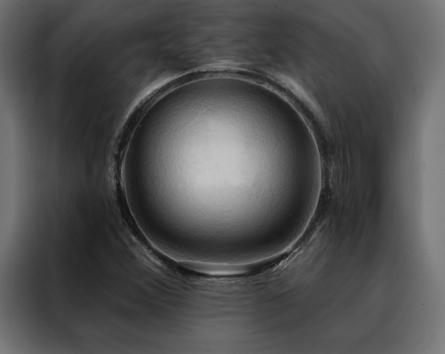 X0000088491356200705221418