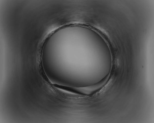 X0000088491359200705221418
