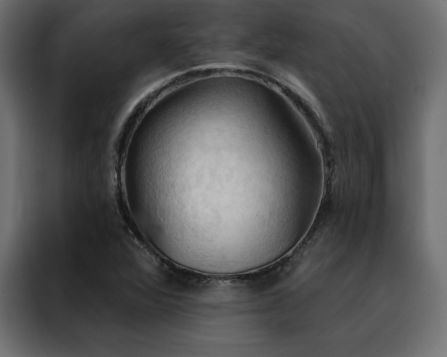 X0000088491360200705221418