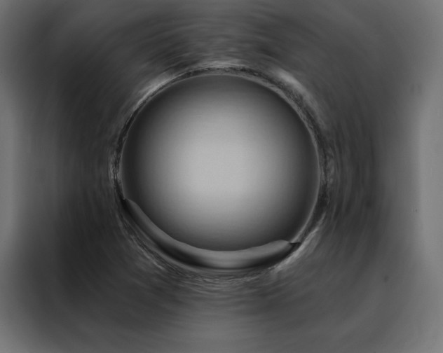 X0000088491361200705221418