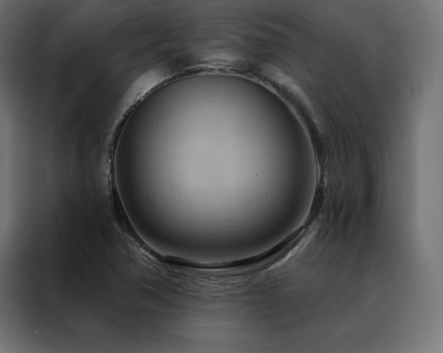 X0000088491362200705221418