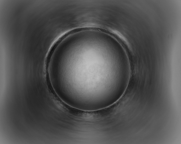 X0000088491364200705221418