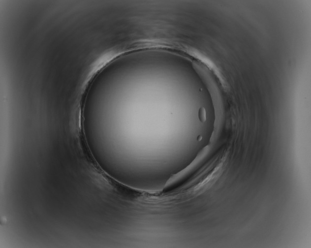 X0000088491365200705221418