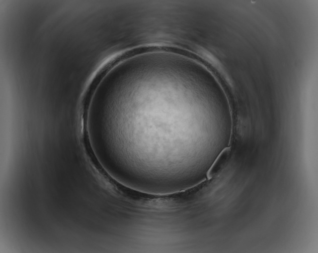 X0000088491368200705221418