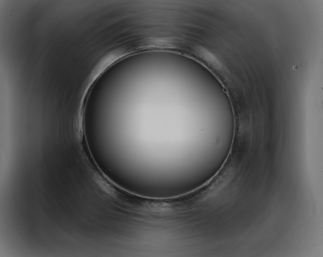 X0000088491370200705221418