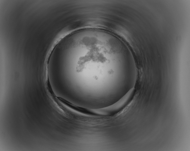 X0000088491371200705221418