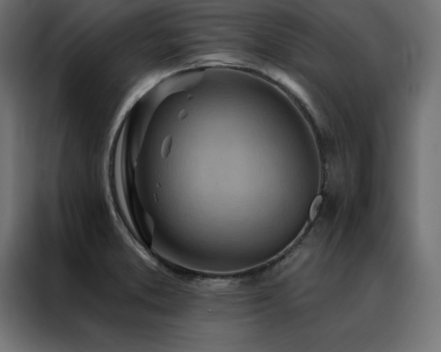 X0000088491373200705221418