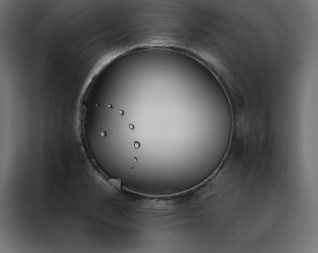 X0000088491374200705221418