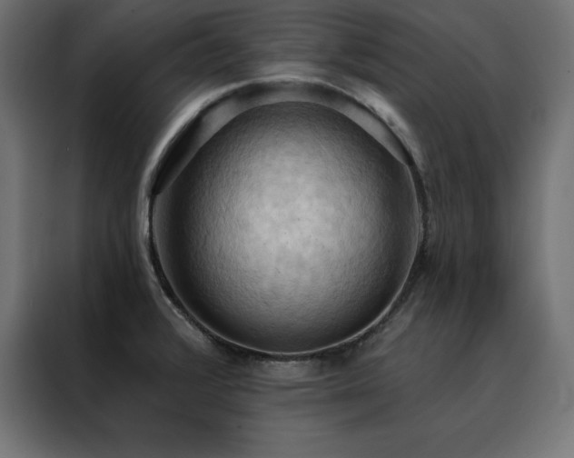 X0000088491376200705221418