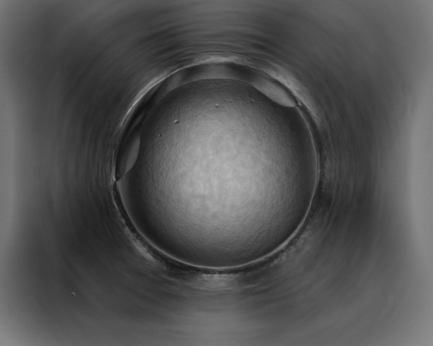 X0000088491377200705221418