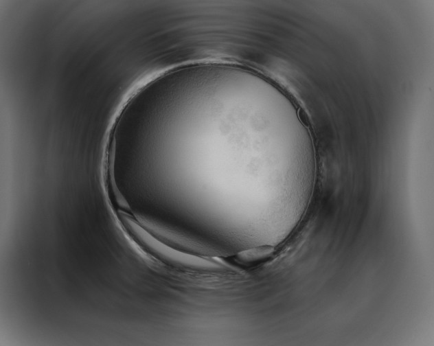 X0000088491379200705221418