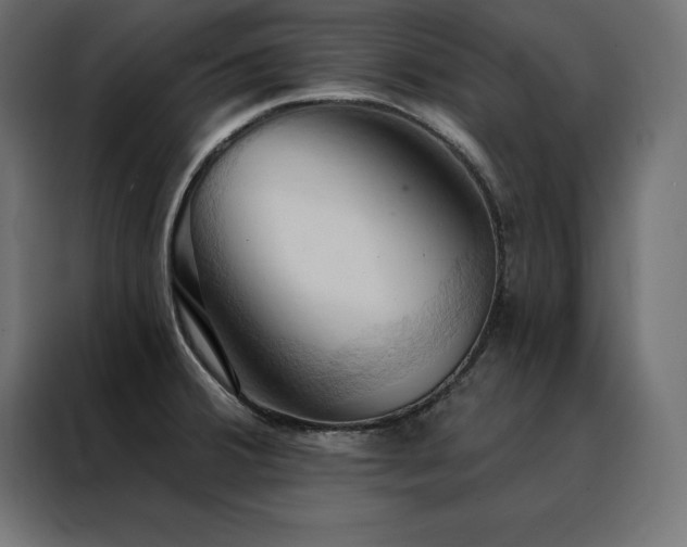 X0000088491380200705221418