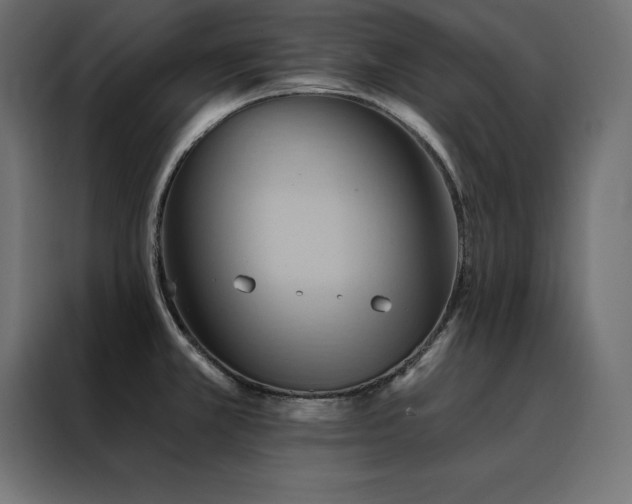 X0000088491381200705221418