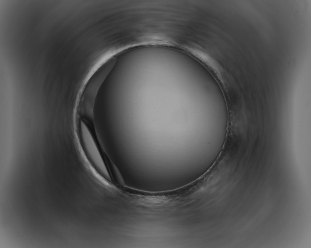 X0000088491383200705221418