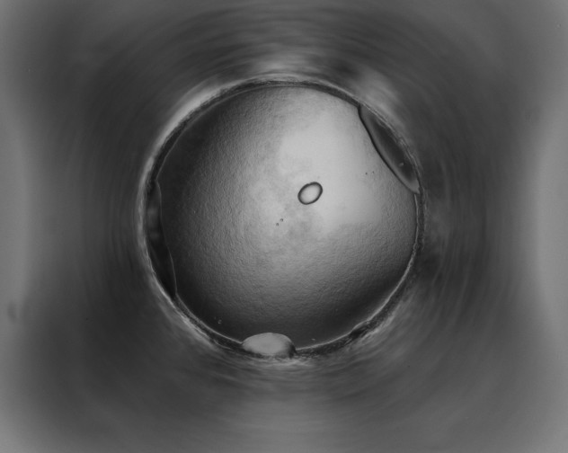 X0000088491384200705221418