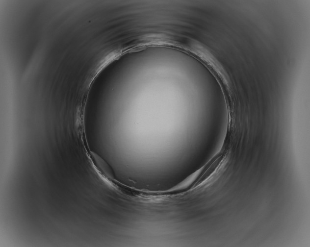 X0000088491385200705221418