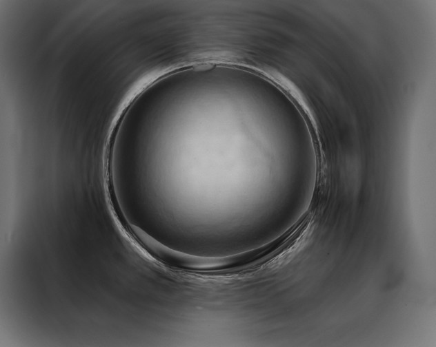 X0000088491389200705221418