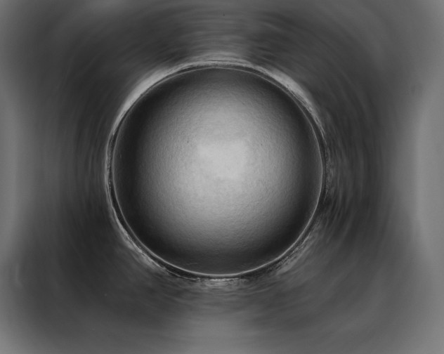 X0000088491390200705221418