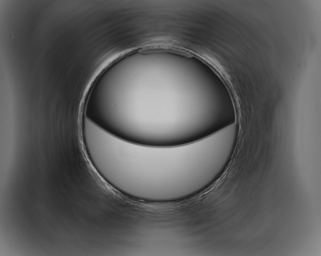 X0000088491392200705221418