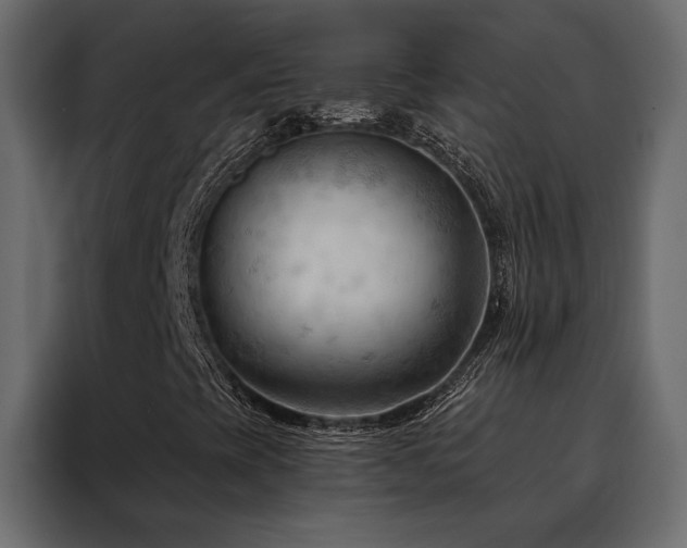 X0000088491393200705221417