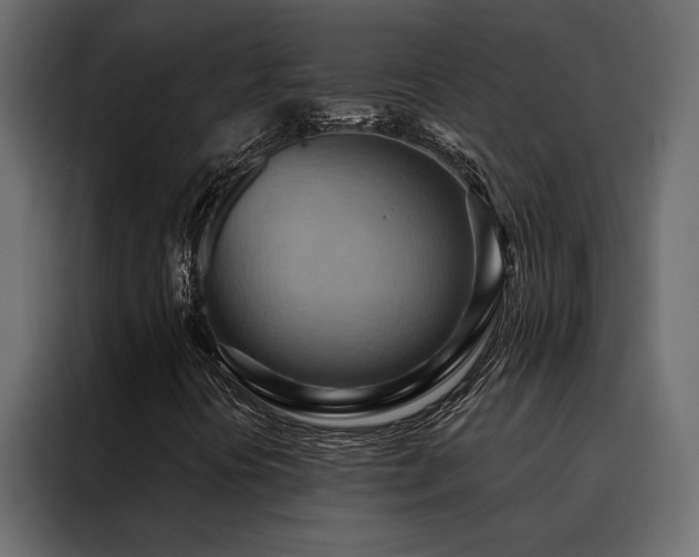 X0000088491394200705221417