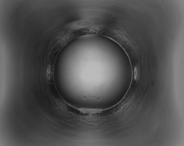 X0000088491395200705221417