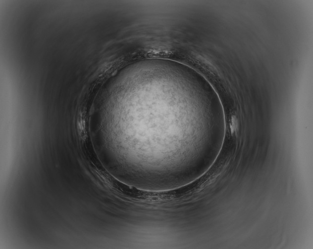 X0000088491396200705221417
