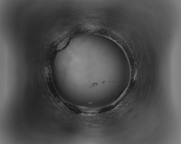 X0000088491397200705221417