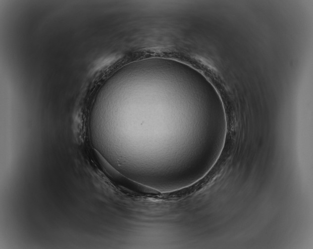 X0000088491398200705221417