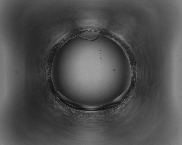 X0000088491399200705221417