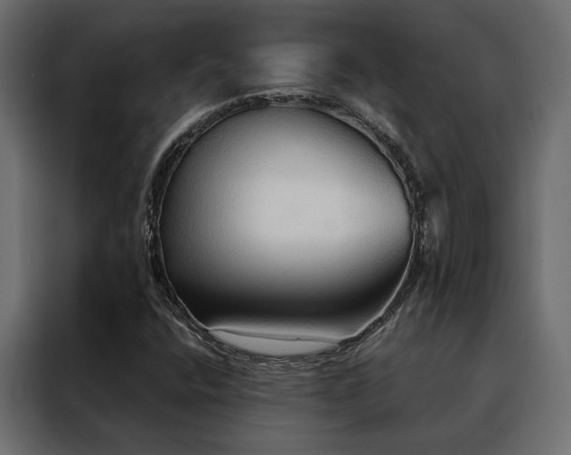X0000088491400200705221417