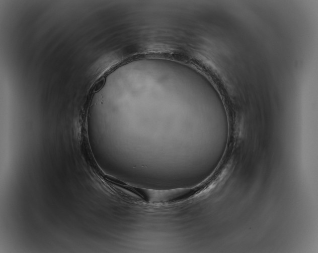 X0000088491401200705221417