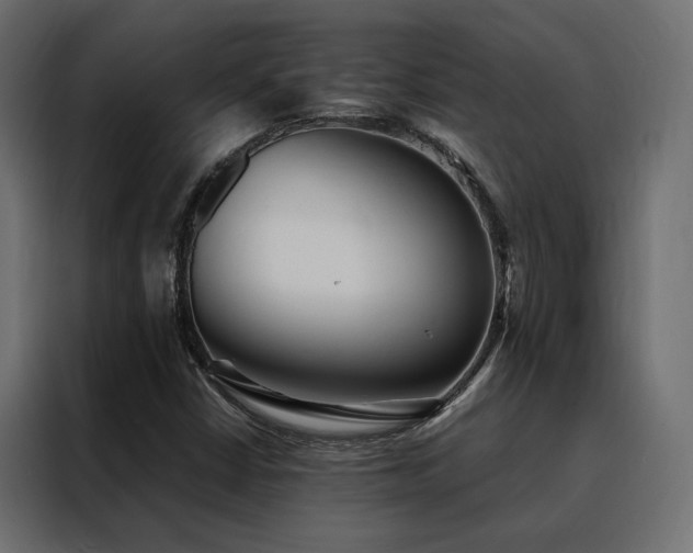 X0000088491402200705221417