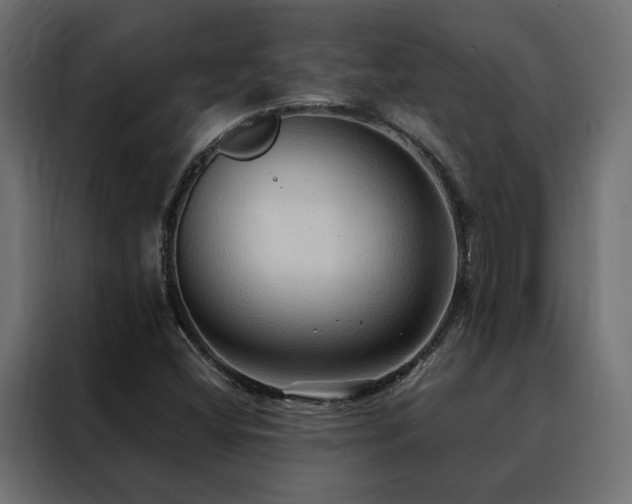 X0000088491404200705221417