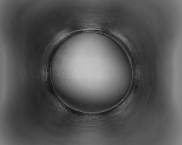 X0000088491407200705221418