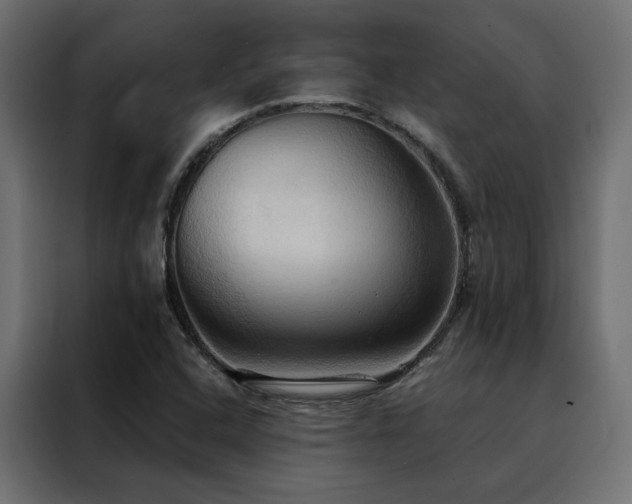 X0000088491408200705221418