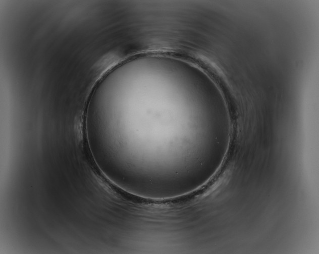 X0000088491409200705221418
