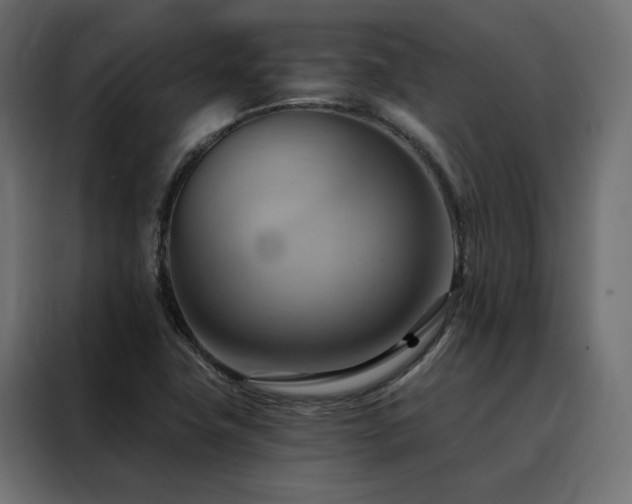X0000088491411200705221418
