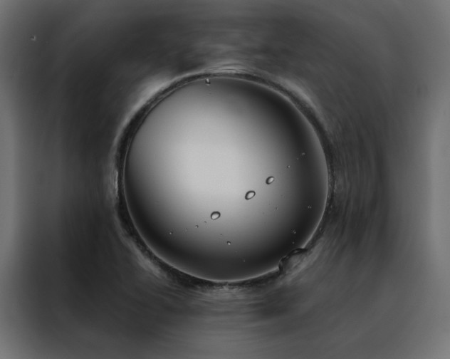 X0000088491414200705221418
