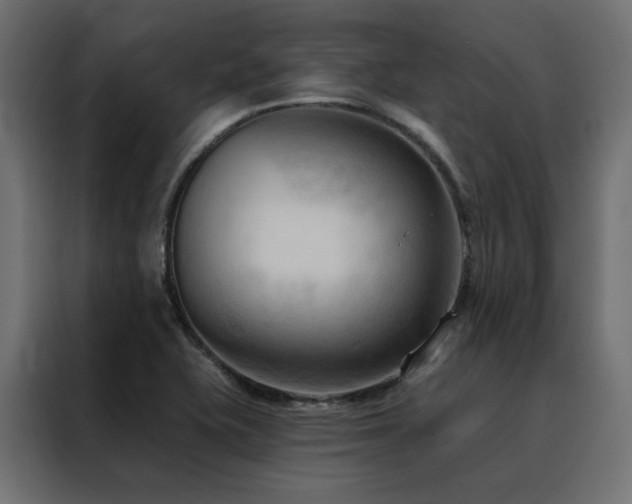X0000088491415200705221418