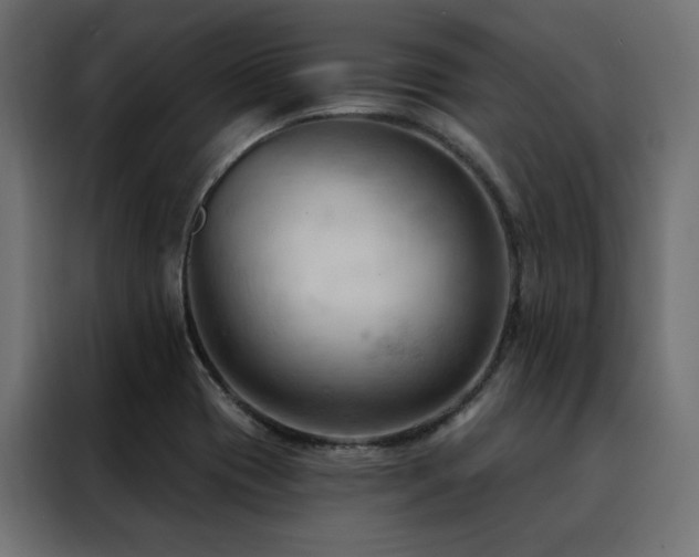 X0000088491417200705221418
