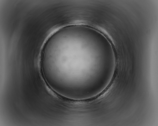X0000088491421200705221418