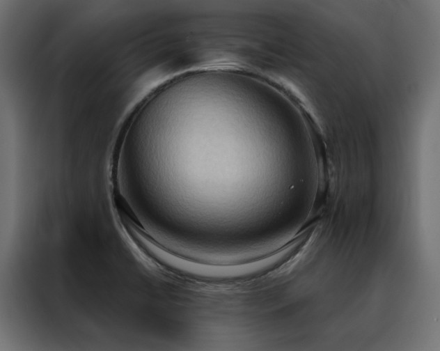 X0000088491422200705221418