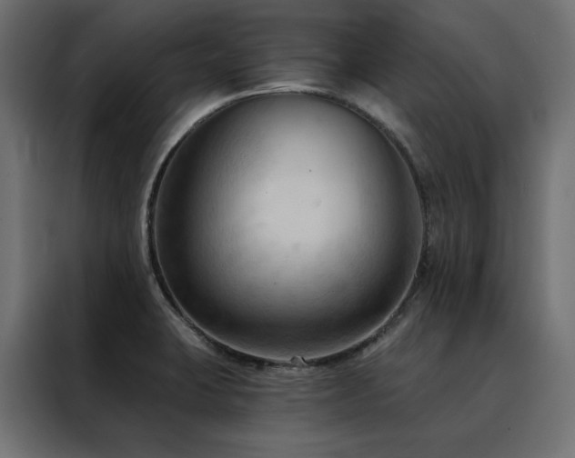X0000088491423200705221418