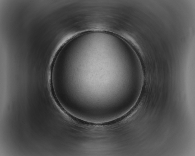 X0000088491424200705221418