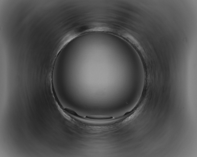 X0000088491425200705221418