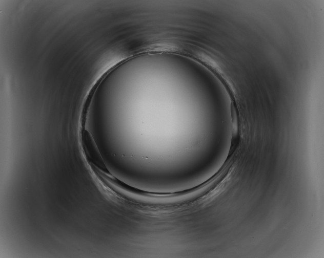 X0000088491426200705221418