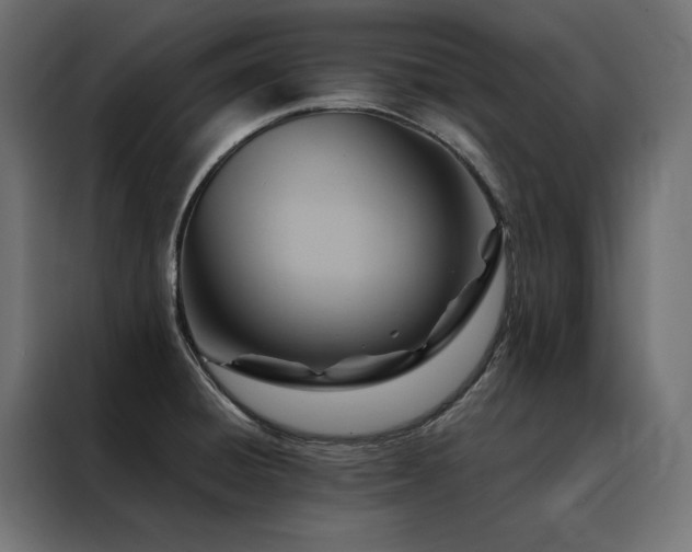 X0000088491428200705221418