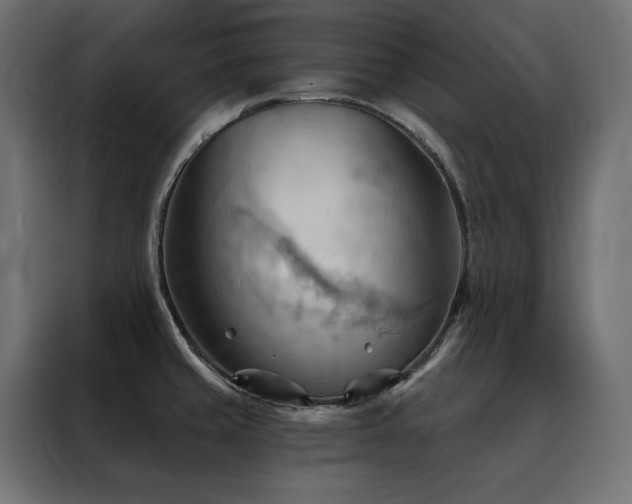 X0000088491429200705221418